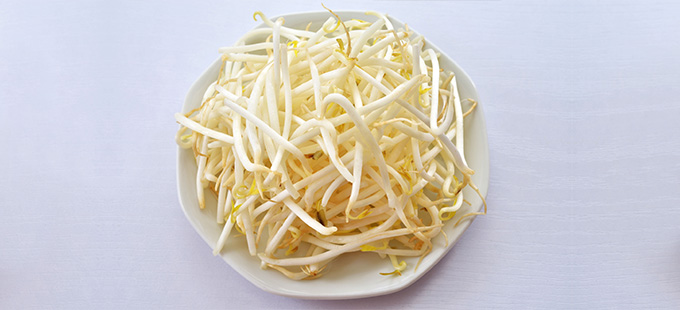 180201Moyashi